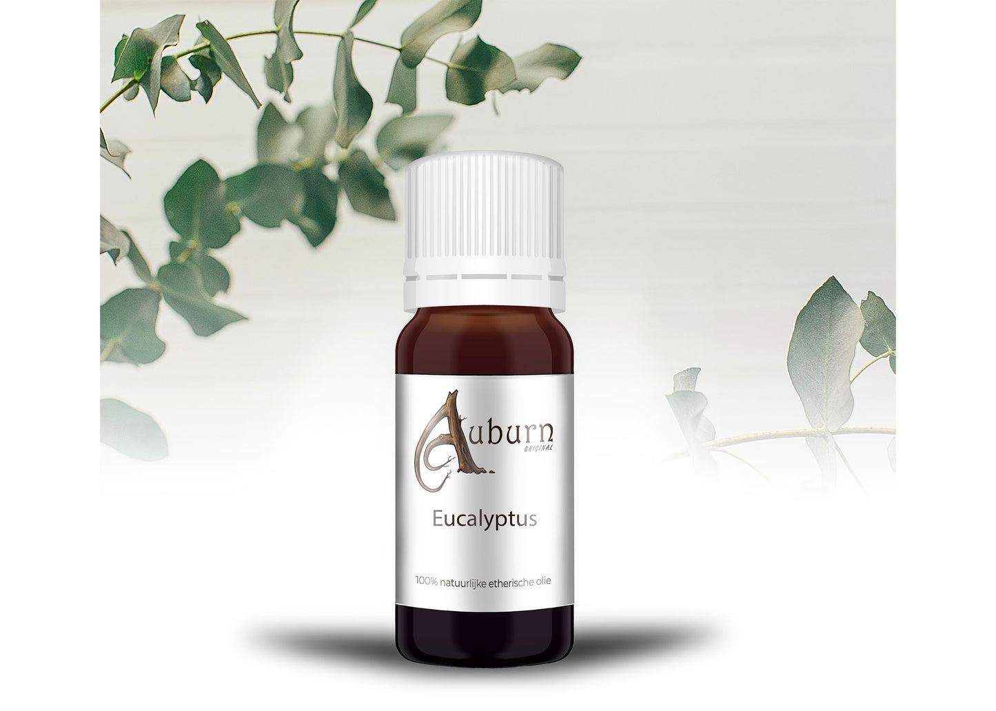 Eucalyptus - 10 Ml - 100% Natuurzuivere Etherische Olie