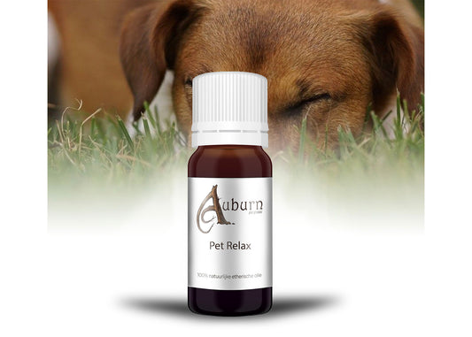 Pet Relax (Dog) - 10 Ml - 100% Natuurzuivere Etherische Olie